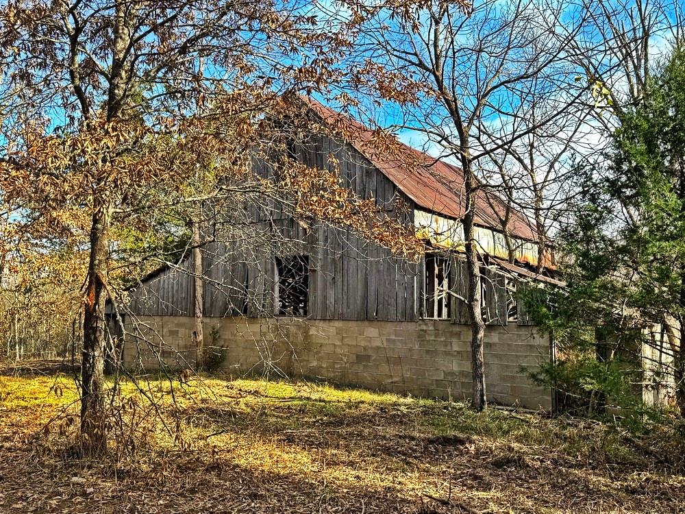 0 Southeast 500 Road Collins, MO 64738 - Photo 22 of 47