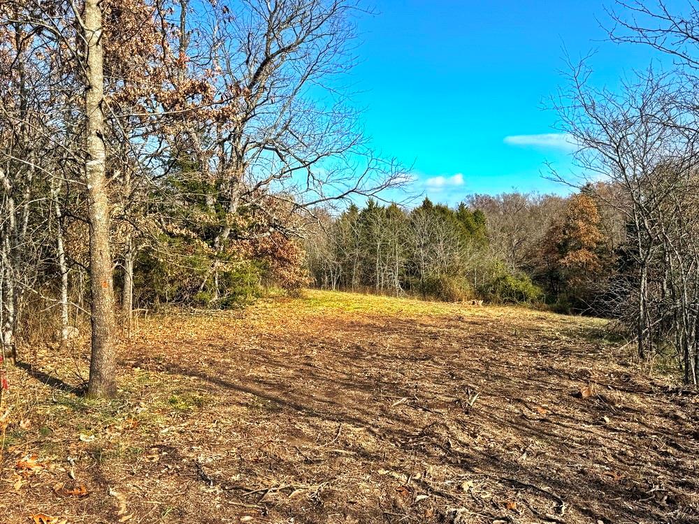 0 Southeast 500 Road Collins, MO 64738 - Photo 24 of 47