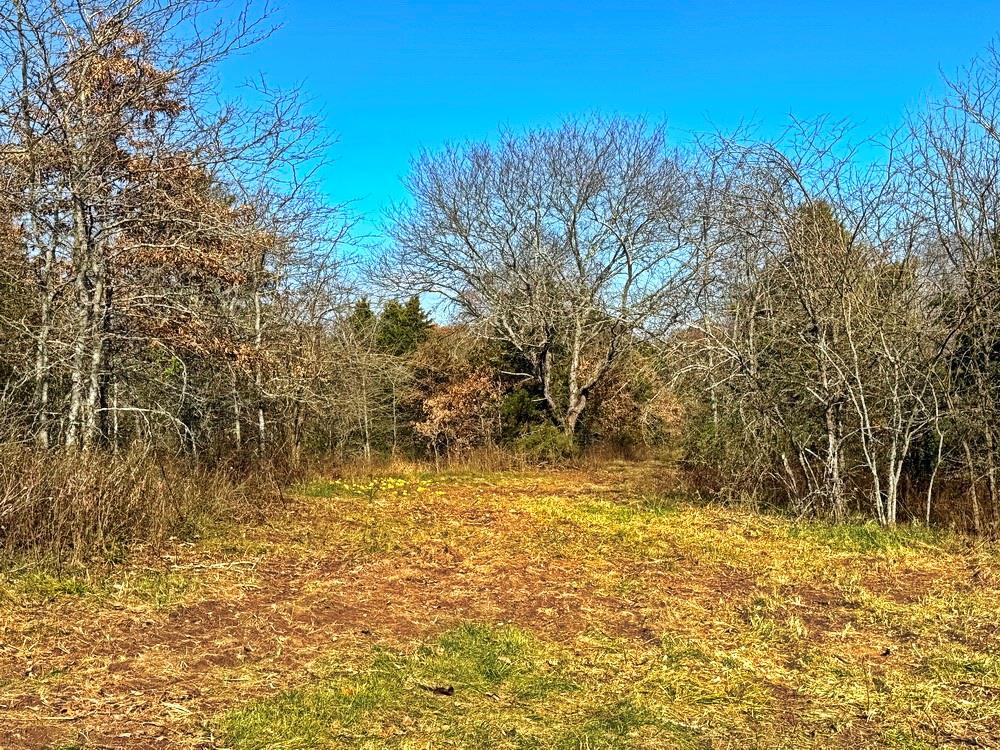 0 Southeast 500 Road Collins, MO 64738 - Photo 25 of 47