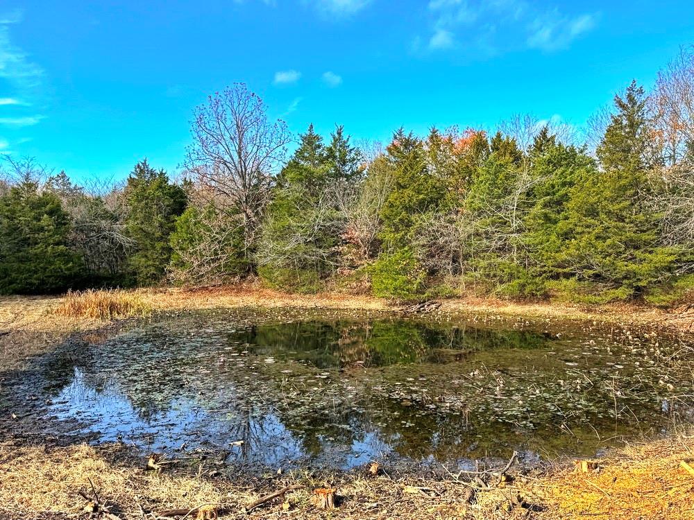 0 Southeast 500 Road Collins, MO 64738 - Photo 26 of 47