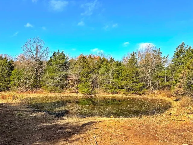 $349,000 | 0 Southeast 500 Road, Collins, MO 64738