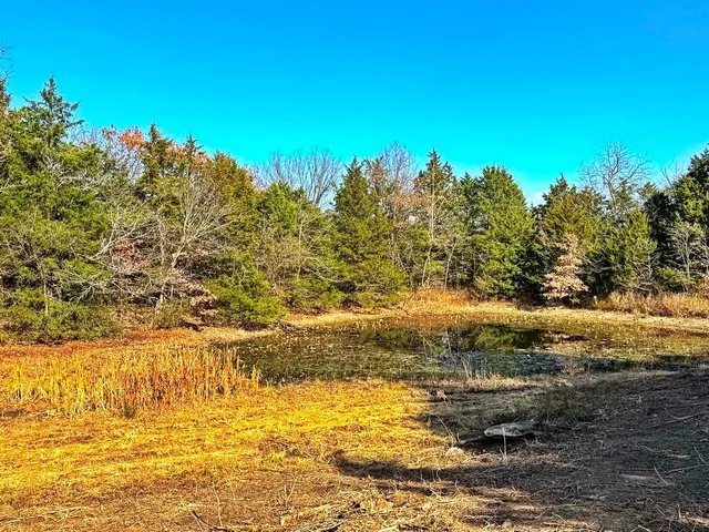 $349,000 | 0 Southeast 500 Road, Collins, MO 64738