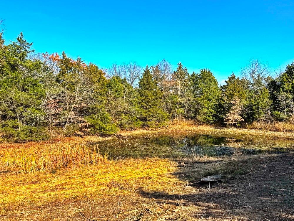 0 Southeast 500 Road Collins, MO 64738 - Photo 28 of 47