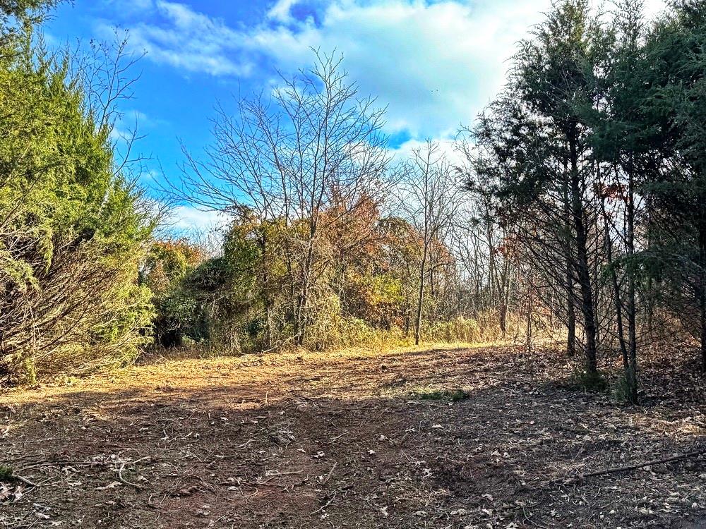 0 Southeast 500 Road Collins, MO 64738 - Photo 29 of 47