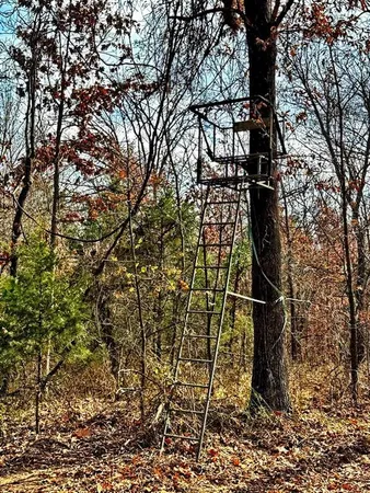 $329,670 | 0 Southeast 500 Road, Collins, MO 64738