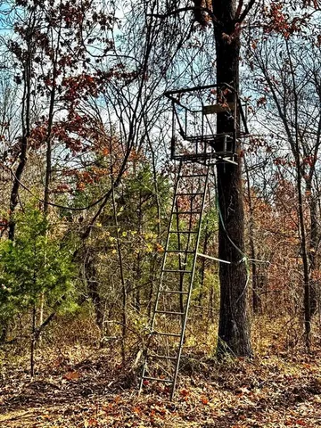 $349,000 | 0 Southeast 500 Road, Collins, MO 64738