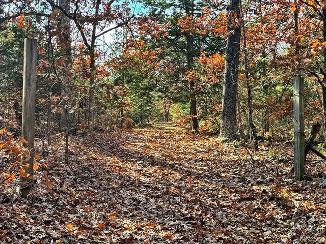 $349,000 | 0 Southeast 500 Road, Collins, MO 64738