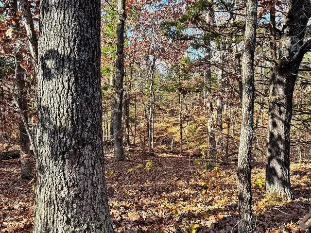 $349,000 | 0 Southeast 500 Road, Collins, MO 64738