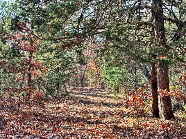 $349,000 | 0 Southeast 500 Road, Collins, MO 64738