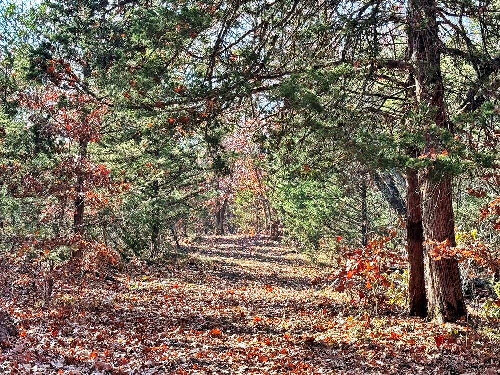 0 Southeast 500 Road Collins, MO 64738 - Photo 34 of 47