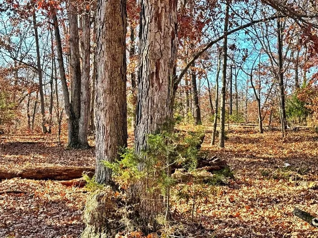 $349,000 | 0 Southeast 500 Road, Collins, MO 64738