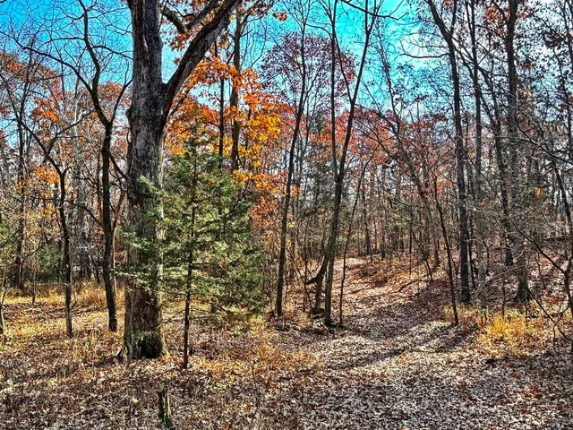 $349,000 | 0 Southeast 500 Road, Collins, MO 64738