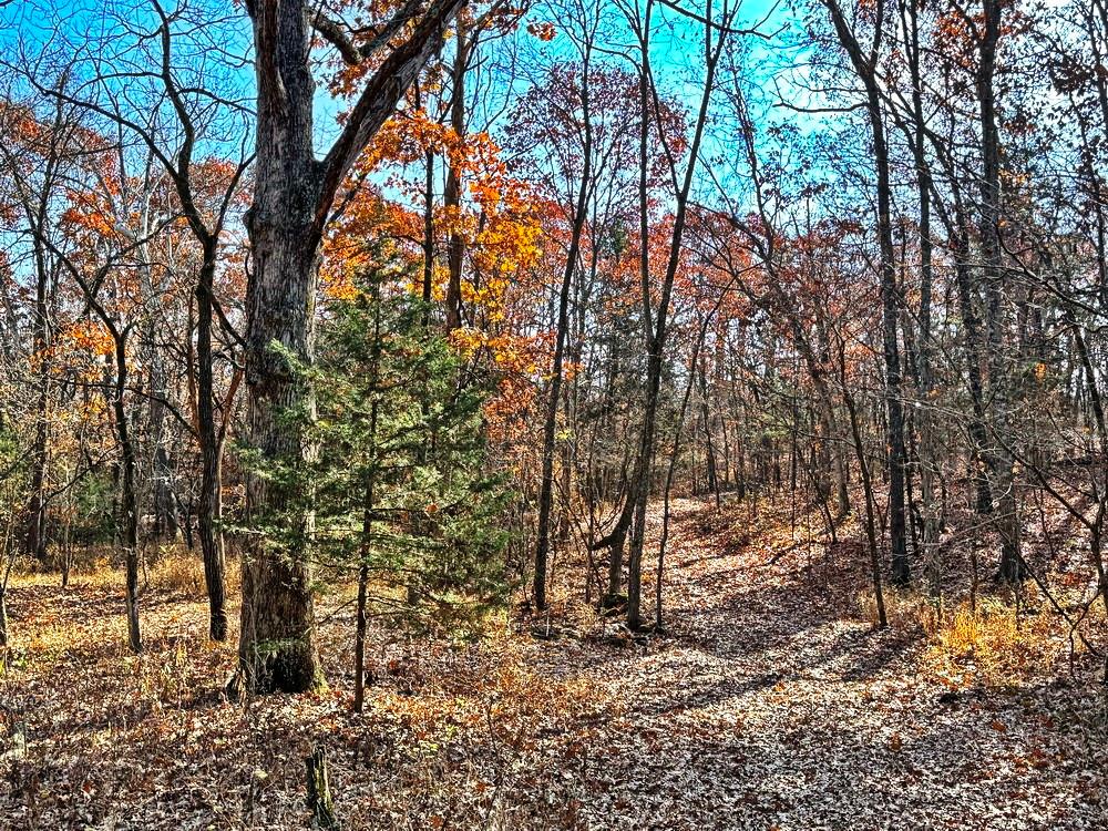 0 Southeast 500 Road Collins, MO 64738 - Photo 36 of 47