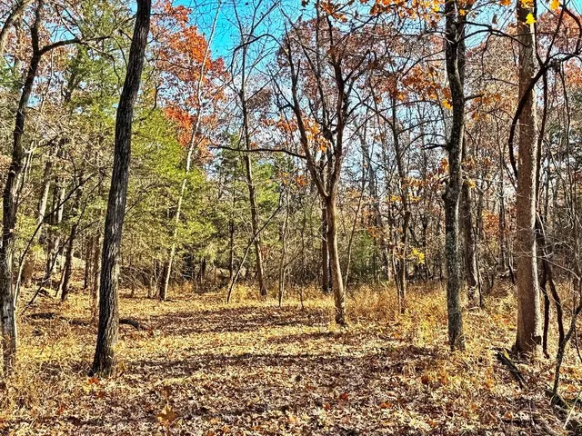 $349,000 | 0 Southeast 500 Road, Collins, MO 64738