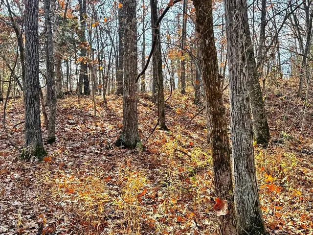 $349,000 | 0 Southeast 500 Road, Collins, MO 64738