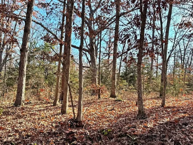 $349,000 | 0 Southeast 500 Road, Collins, MO 64738