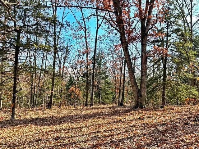 $349,000 | 0 Southeast 500 Road, Collins, MO 64738