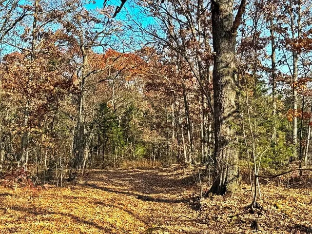 $349,000 | 0 Southeast 500 Road, Collins, MO 64738