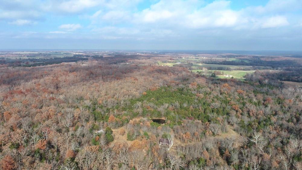 0 Southeast 500 Road Collins, MO 64738 - Photo 45 of 47