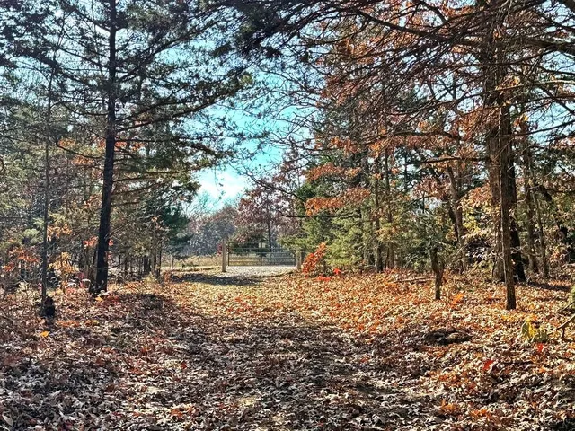 $349,000 | 0 Southeast 500 Road, Collins, MO 64738