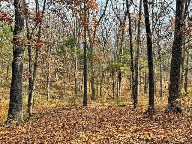 $349,000 | 0 Southeast 500 Road, Collins, MO 64738