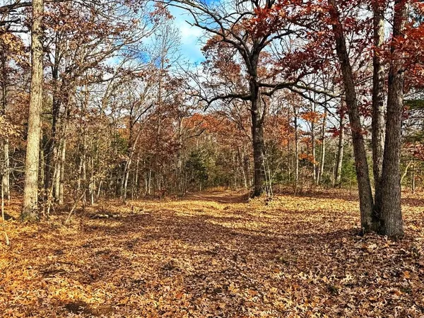 $329,670 | 0 Southeast 500 Road, Collins, MO 64738