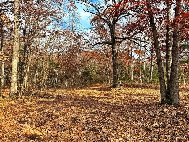 $349,000 | 0 Southeast 500 Road, Collins, MO 64738