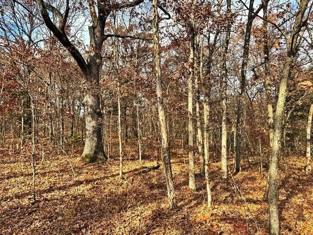 $349,000 | 0 Southeast 500 Road, Collins, MO 64738