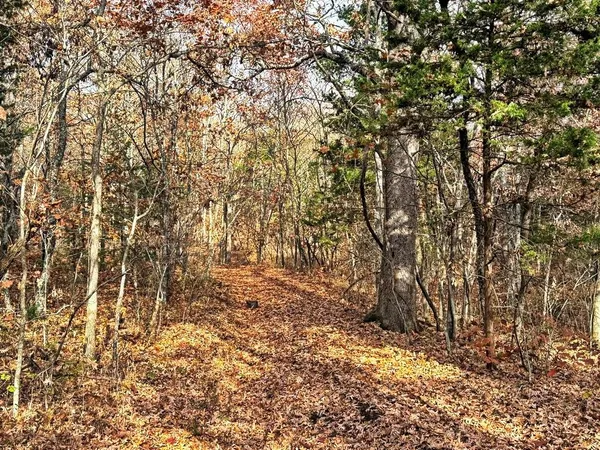 $329,670 | 0 Southeast 500 Road, Collins, MO 64738