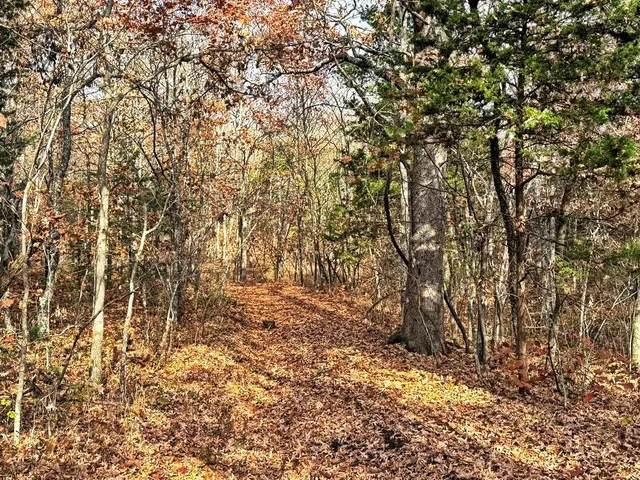 $349,000 | 0 Southeast 500 Road, Collins, MO 64738