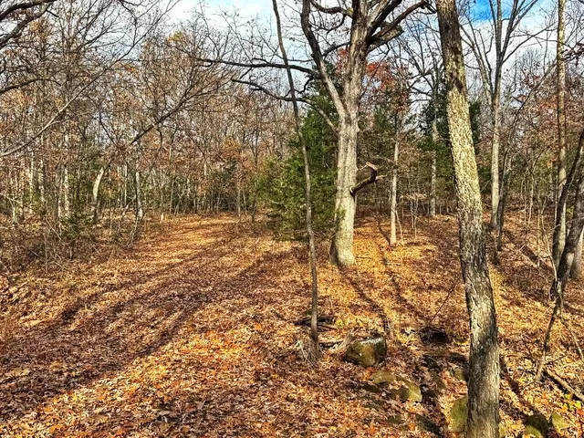 $349,000 | 0 Southeast 500 Road, Collins, MO 64738