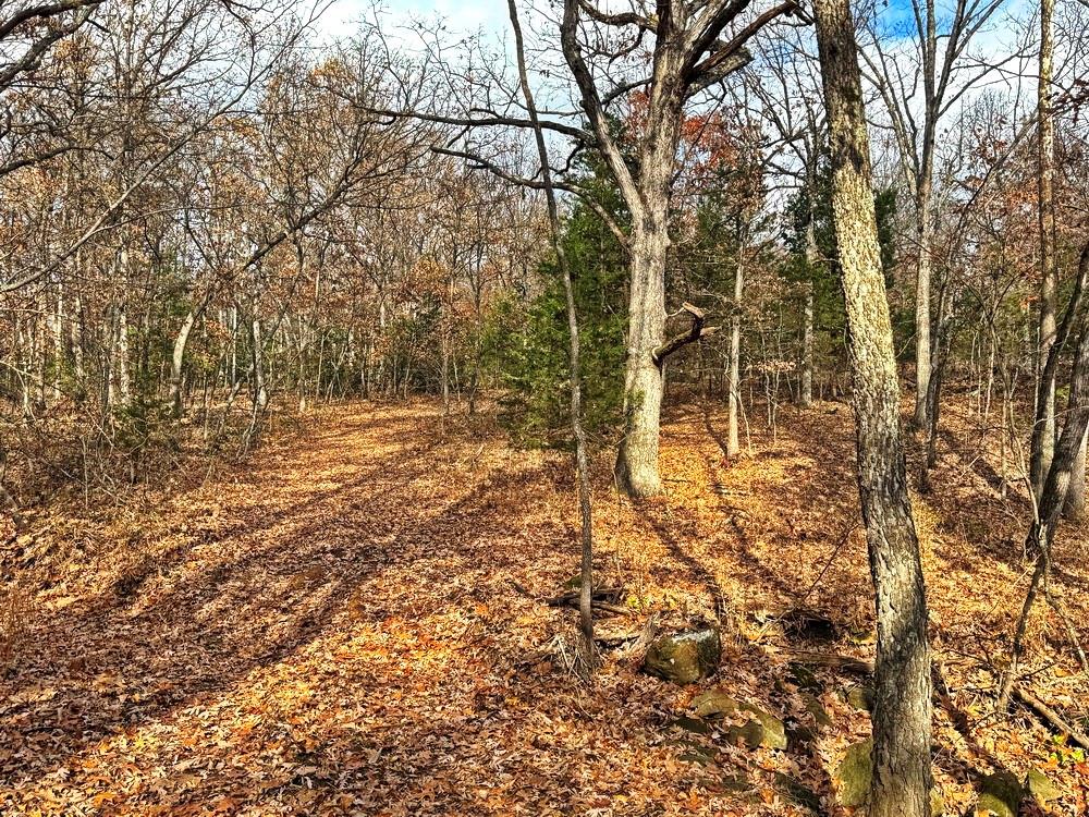 0 Southeast 500 Road Collins, MO 64738 - Photo 10 of 47