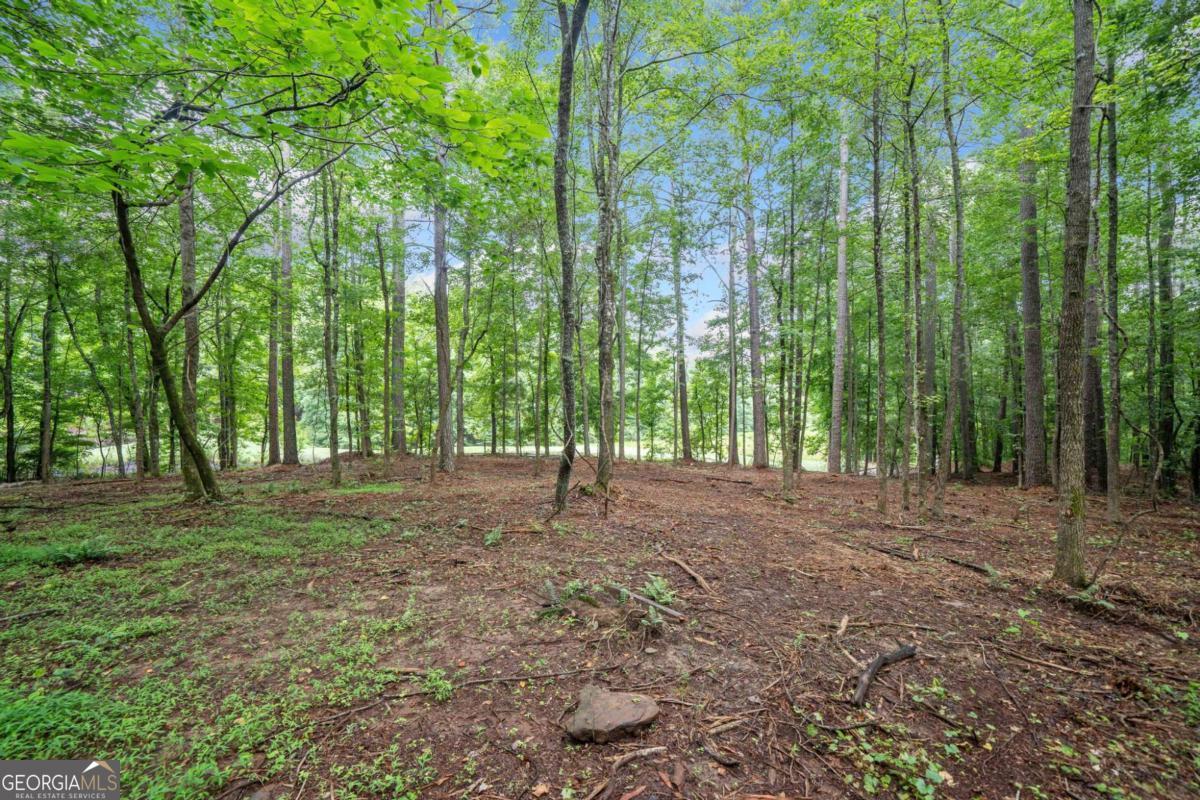 235 Brock Trail, Unit 3 Milton, GA 30004 - Photo 13 of 31 a view of outdoor space with trees