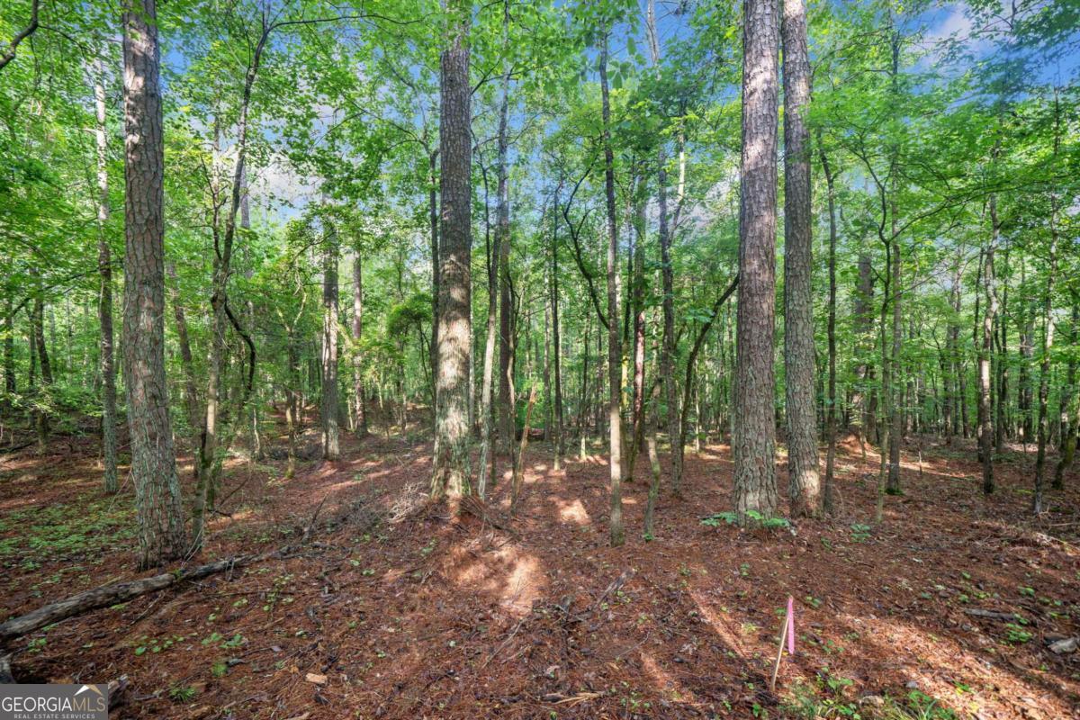 235 Brock Trail, Unit 3 Milton, GA 30004 - Photo 19 of 31 a view of outdoor space and trees