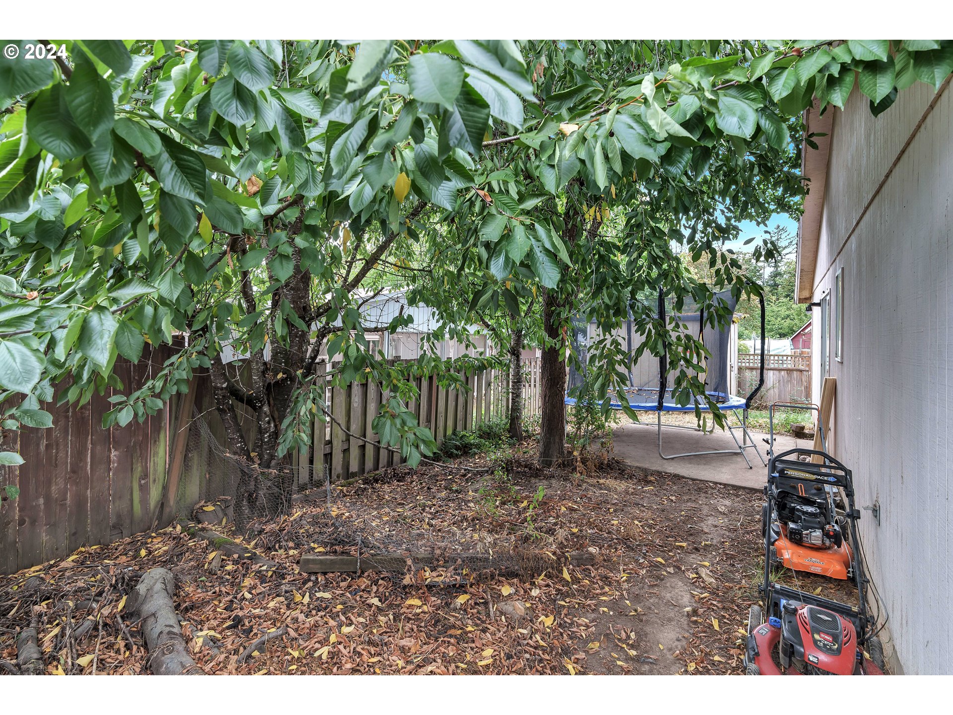 325 Cosmo Street Lafayette, OR 97127 - Photo 25 of 29 a backyard of a house with lots of green space