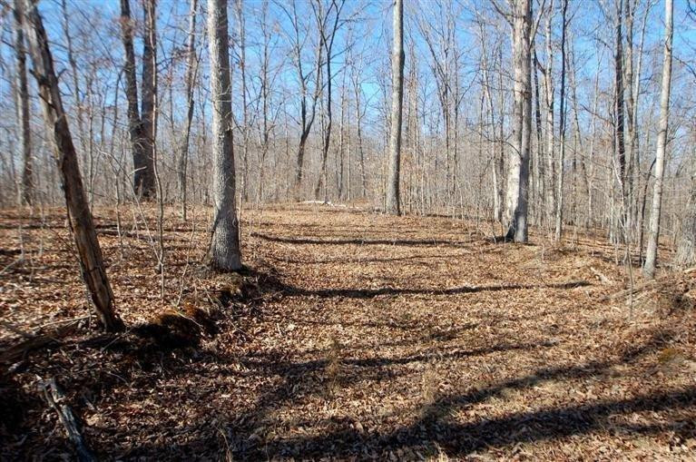 2040 Mandy Road Irvine, KY 40336 - Photo 1 of 39 100 acres of open forest in the middle o