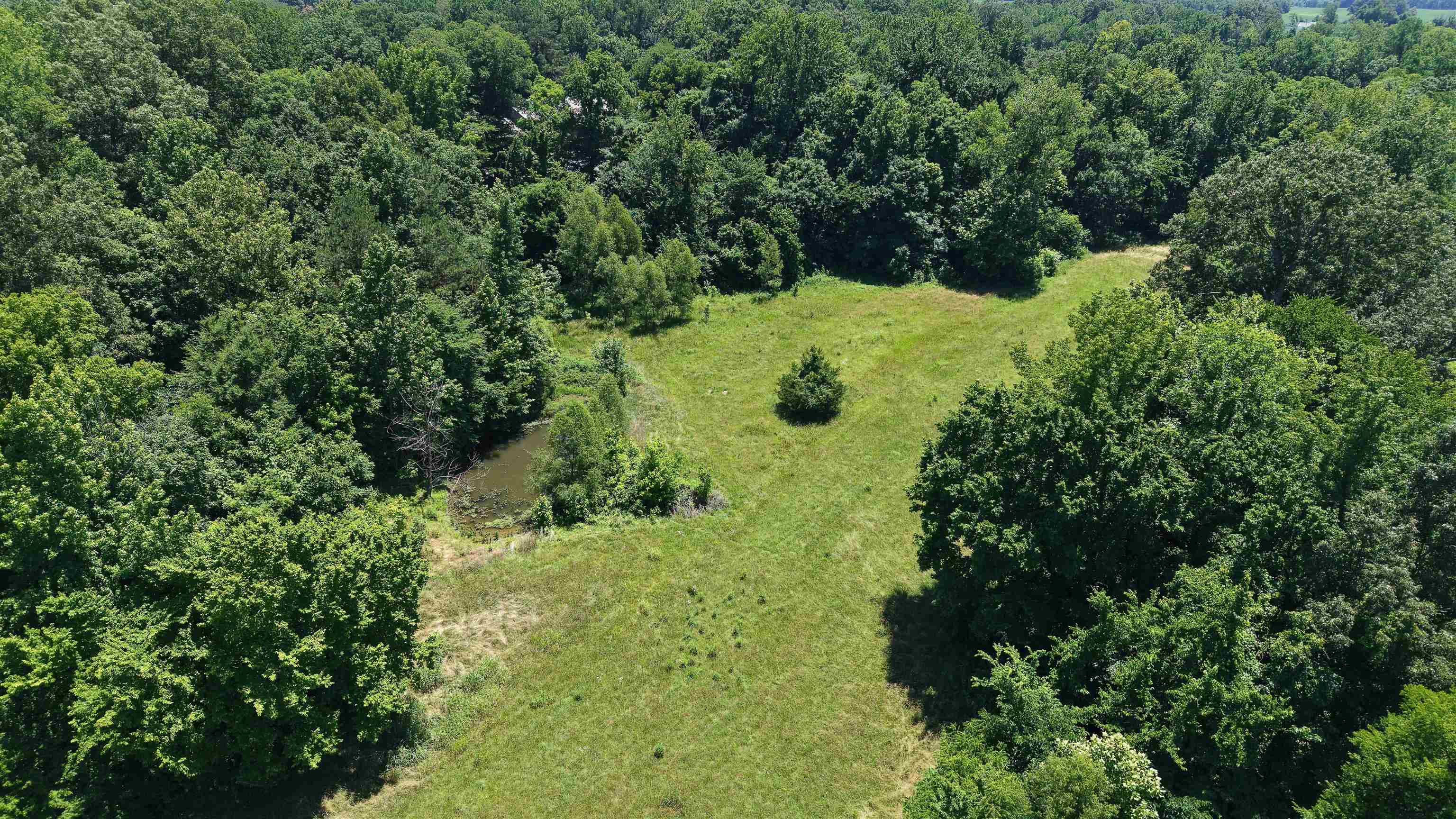 0 Holly Grove Road Covington, TN 38019 - Photo 13 of 22