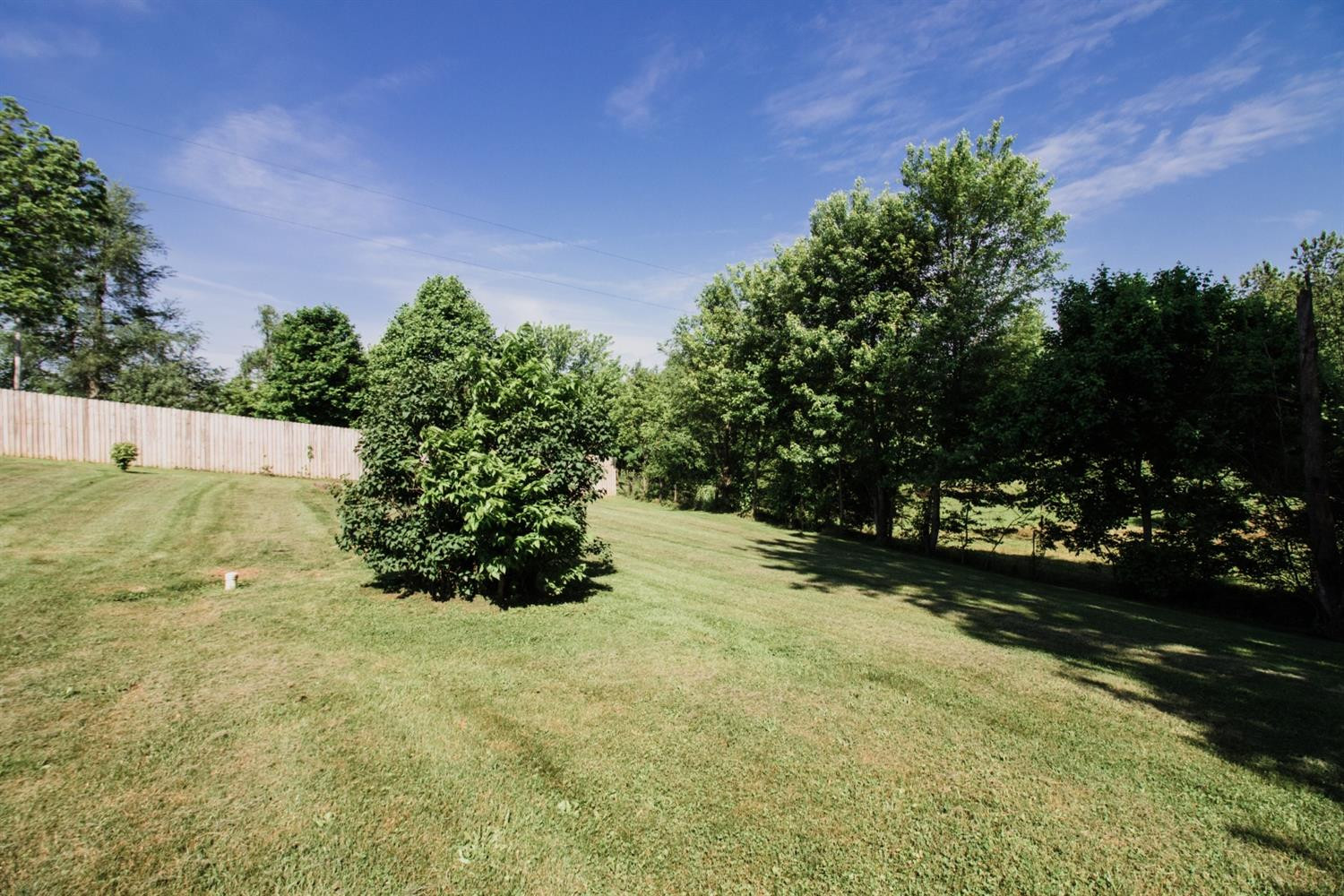 8985 Wades Mill Road Mount Sterling, KY 40353 - Photo 8 of 42 Listing Photo