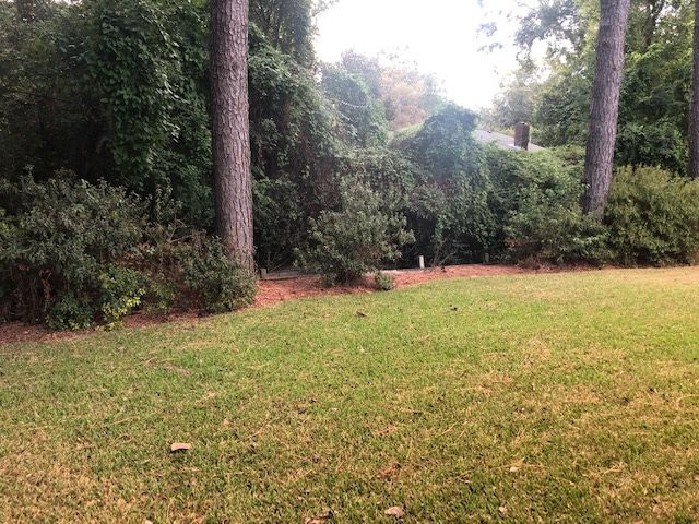 4533 Ridgewood Road Jackson, MS 39211 - Photo 15 of 17 Photo 15