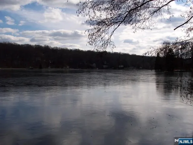 a view of a lake with boats