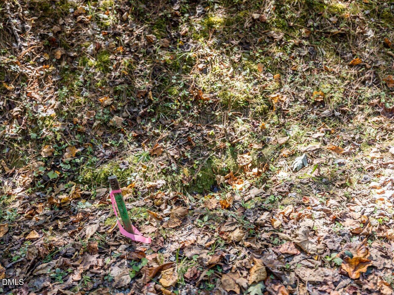 0 Old Lystra Road Chapel Hill, NC 27517 - Photo 12 of 17 17-017-Chatham-Parcel-76369-76374-202510