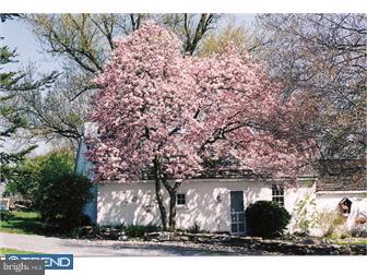 570 Dilworth Road Downingtown, PA 19335 - Photo 10 of 12 Gallery Image 10