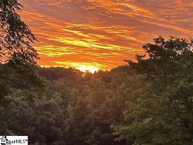 500 Bailey Mill Road Travelers Rest, SC 29690 - Photo 29 of 30