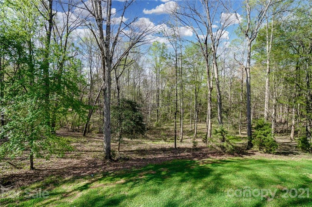 215 Eagle Cove Drive Cherryville, NC 28021 - Photo 43 of 48 a view of a yard with a tree