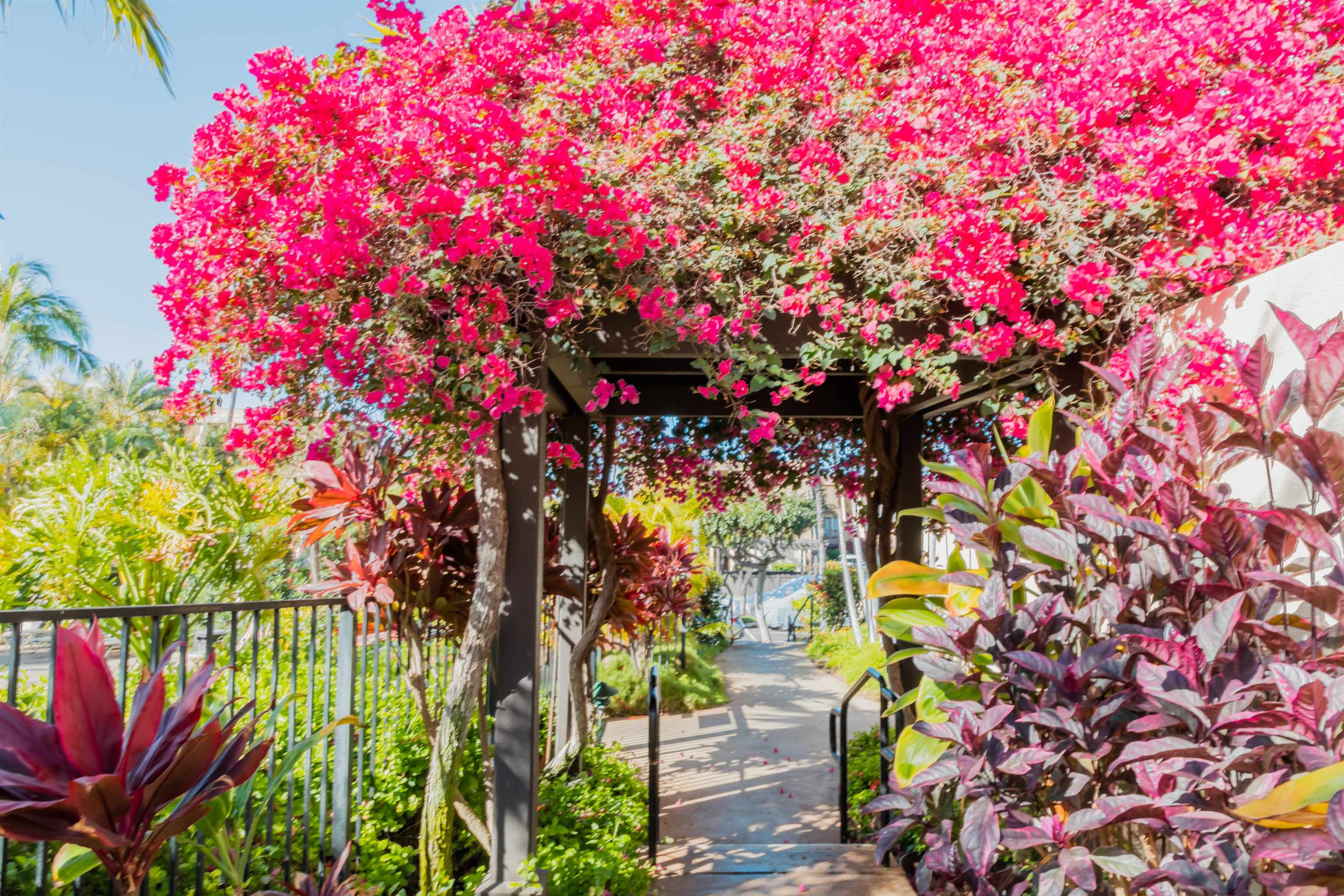 2777 South Kihei Road, Unit L105 Kihei, HI 96753 - Photo 46 of 48