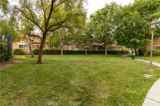 a view of a tree in a park