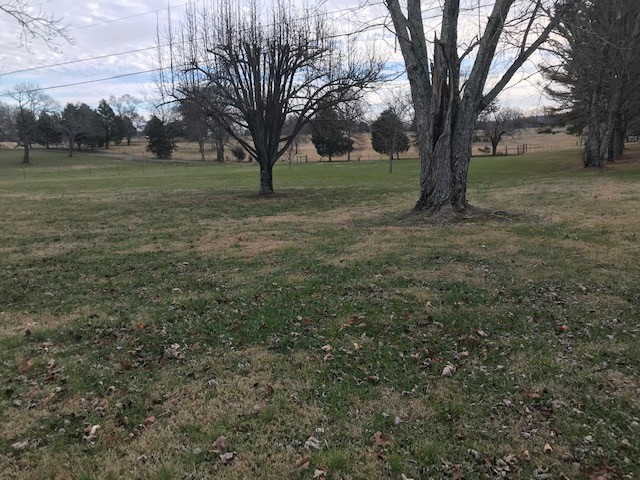 1931 Jarrell Road Lebanon, TN 37087 - Photo 3 of 35 a view of outdoor space with trees