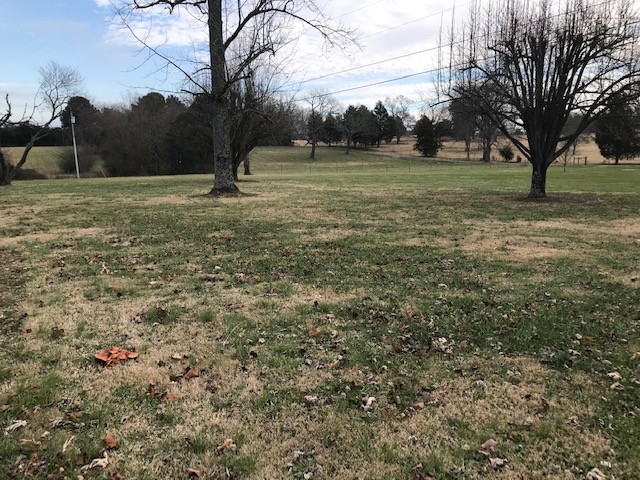1931 Jarrell Road Lebanon, TN 37087 - Photo 21 of 35 a view of outdoor space with trees