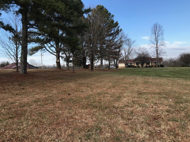 1931 Jarrell Road Lebanon, TN 37087 - Photo 27 of 35 a backyard of a house with lots of green space