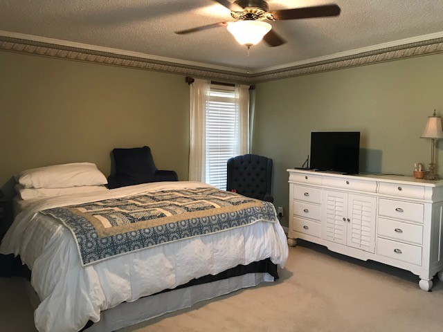 1931 Jarrell Road Lebanon, TN 37087 - Photo 8 of 35 a bedroom with a bed and a flat tv screen on dresser